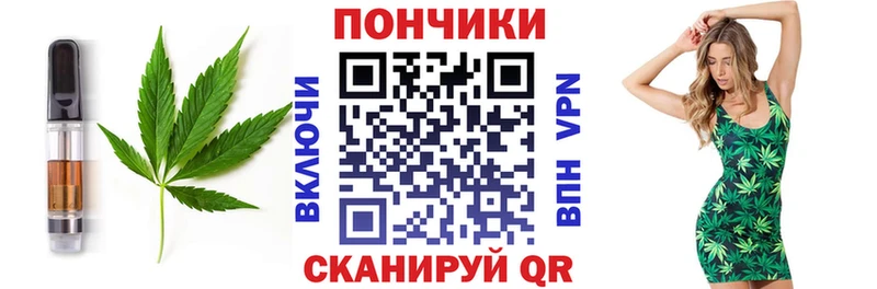 MEGA ссылка  где можно купить наркотик  Вязьма  Cannafood марихуана 