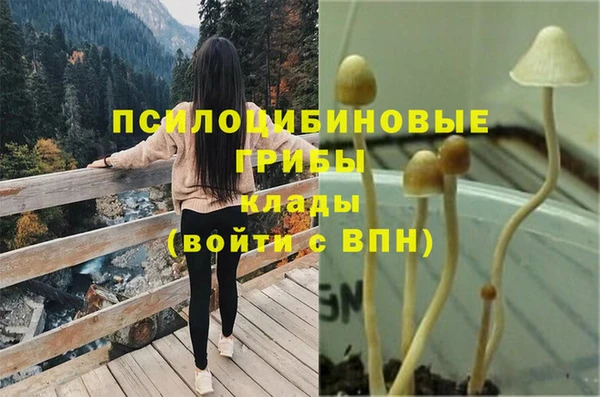молекула духа Рославль