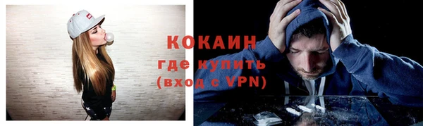 шишки Приозерск