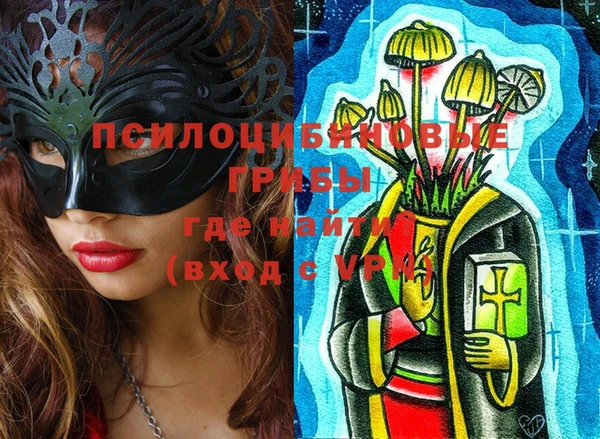 шишки Приозерск