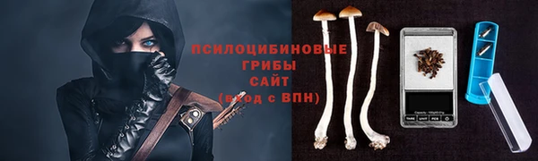 тгк Ростов