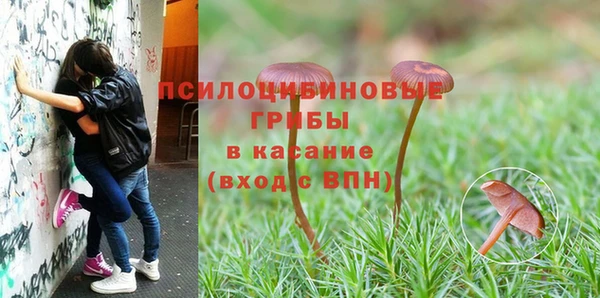 тгк Ростов