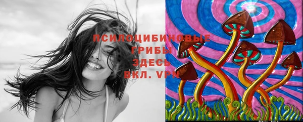 тгк Ростов