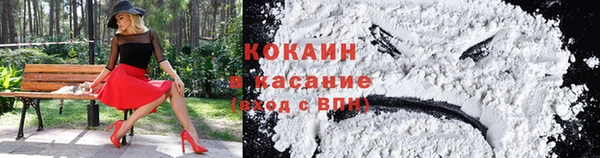 шишки Приозерск