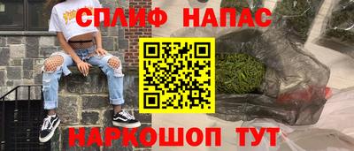 молекула духа Будённовск