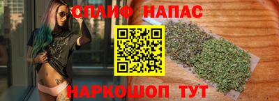 молекула духа Будённовск
