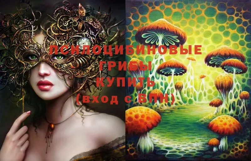 купить  цена  Вязьма  это формула  Псилоцибиновые грибы Cubensis 