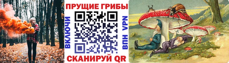 Псилоцибиновые грибы мицелий Вязьма