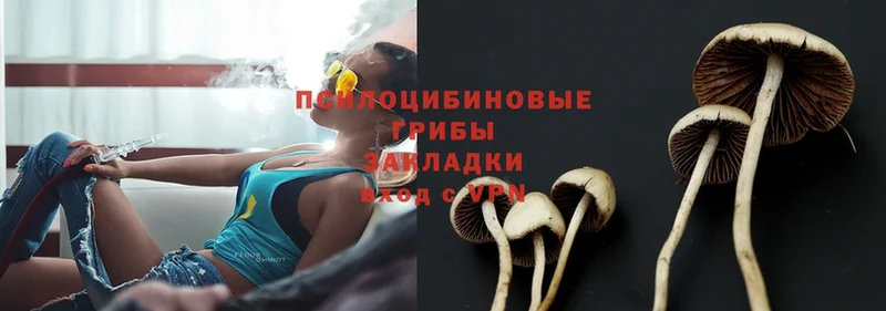 Галлюциногенные грибы Magic Shrooms Вязьма