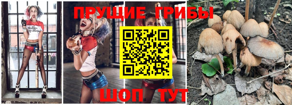 Псилоцибиновые грибы MAGIC MUSHROOMS  Вязьма 